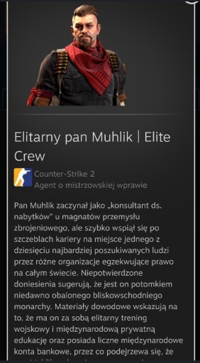 Zdjęcie oferty: Elitarny pan Muhlik cs2