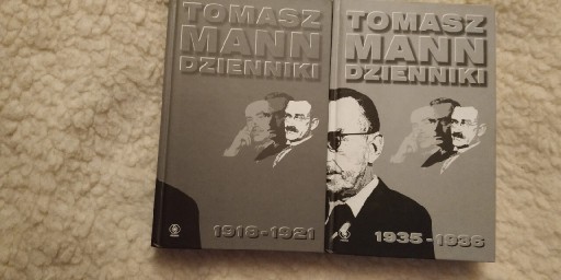 Zdjęcie oferty: Tomasz Mann Dzienniki 2 tomy twarda jak nowe