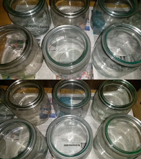 Zdjęcie oferty: Słoik słoiki słój słoje Weck wek weki 12 słoików