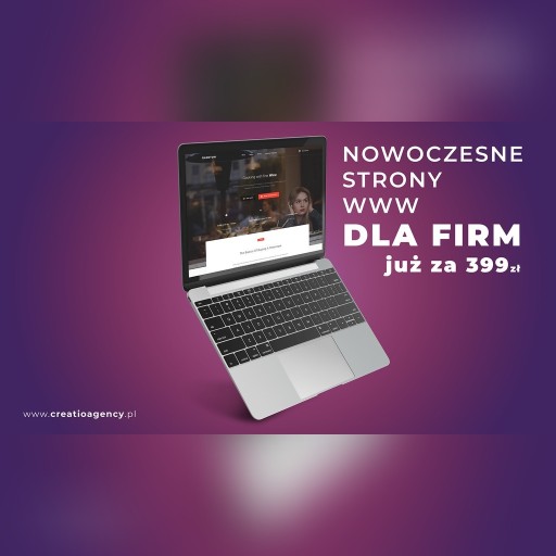 Zdjęcie oferty: STRONA INTERNETOWA / STRONA WWW / CMS SEO