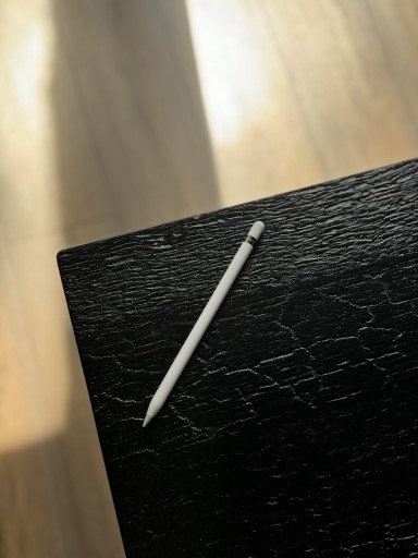 Zdjęcie oferty: Rysik Stylus Apple Pencil 1 generacji biały
