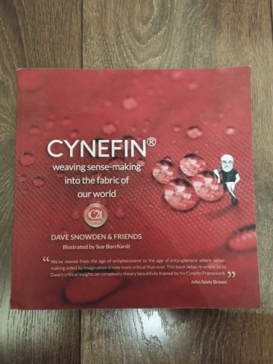 Zdjęcie oferty: Cynefin - Dave Snowden