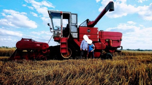 Zdjęcie oferty: Kombajn Massey Ferguson 510