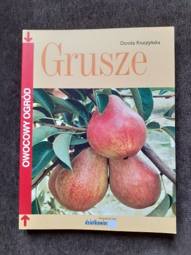 Zdjęcie oferty: Grusza.