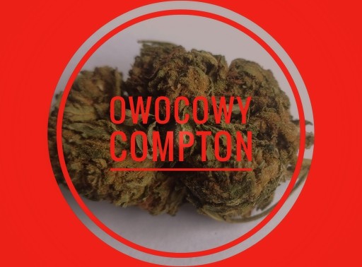 Zdjęcie oferty: Owocowy "Compton" CBD 17% susz konopny 25g