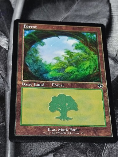 Zdjęcie oferty: Karta Forest Magic The Gathering 