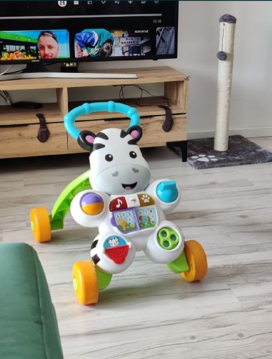 Zdjęcie oferty: Pchacz Fisher Price DPL53