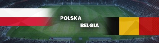 Zdjęcie oferty: Bilety POLSKA - BELGIA VIP GOLD