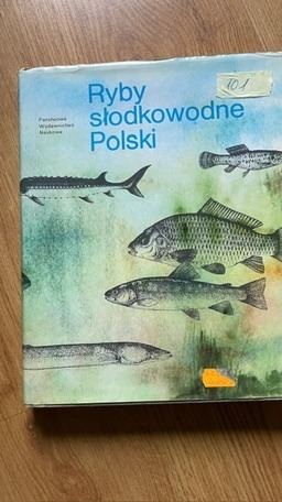 Zdjęcie oferty: Ryby słodkowodne Polski