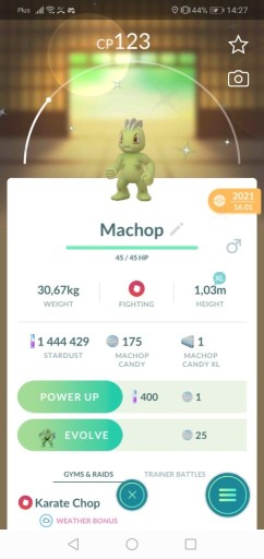 Zdjęcie oferty: Pokemon Machop shine