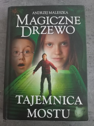 Zdjęcie oferty: Andrzej Maleszka Tajemnicą mostu