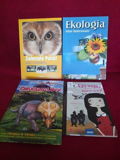 Zdjęcie oferty: Zestaw 4 książek dla dzieci, edukacyjne