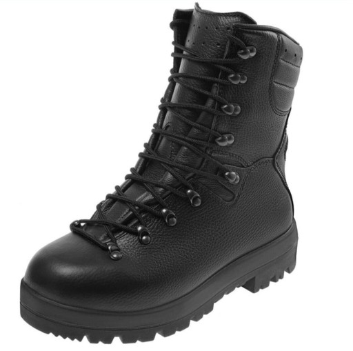 Zdjęcie oferty: Buty Wojskowe/taktyczne Protektor Walker Black R29