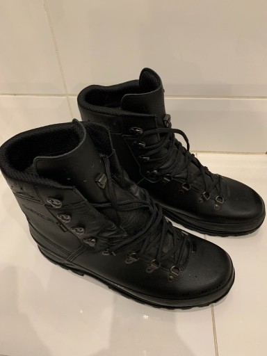 Zdjęcie oferty: Buty LOWA MOUNTAIN BOOT GTX 48/5  312mm