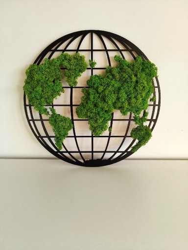 Zdjęcie oferty: Mapa świata. Mech. Dekoracja na ścianę.30 cm Obraz