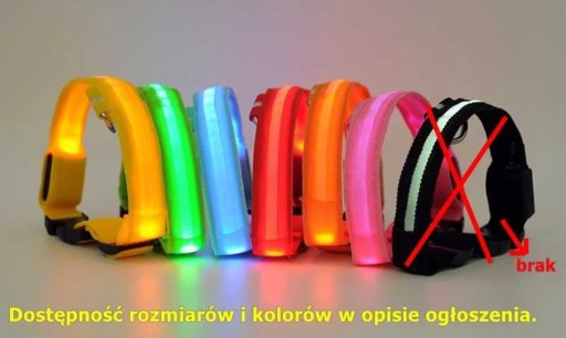 Zdjęcie oferty: Świecąca OBROŻA LED dla PSA r. M  ŻÓŁTY NIEBIESKI