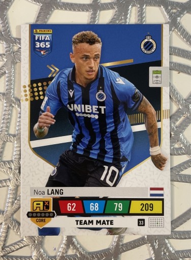 Zdjęcie oferty: FIFA 365 (2023) | LANG (33)