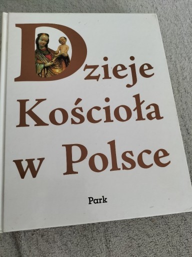 Zdjęcie oferty: Dzieje Kościoła w Polsce
