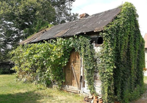 Zdjęcie oferty: Stary Drewniany dom z lat 40