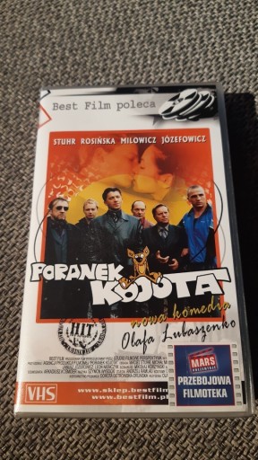 Zdjęcie oferty: Poranek Kojota