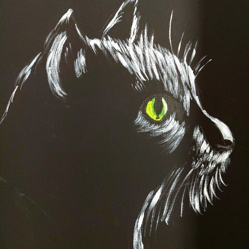 Zdjęcie oferty: Obraz ręcznie malowany Akryl 50x70 kot