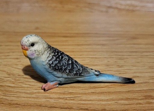 Zdjęcie oferty: Schleich papuga falista niebieska figurka wycofana