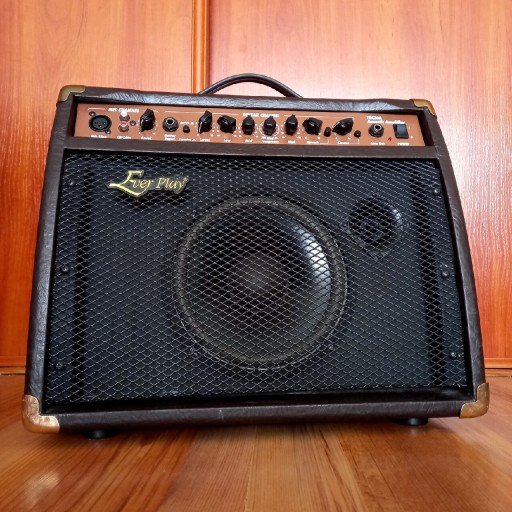 Zdjęcie oferty: Ever Play TEC20A Acoustic Amplifier Combo