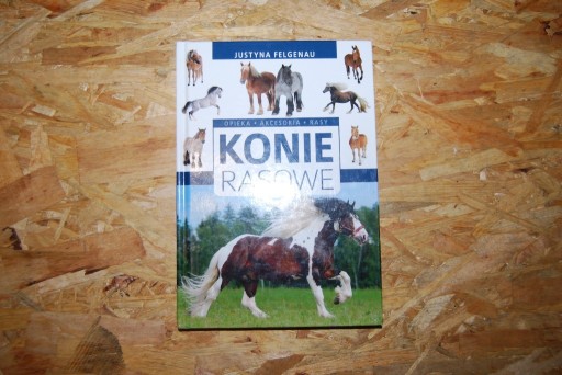 Zdjęcie oferty: Konie rasowe. Justyna Felgenau