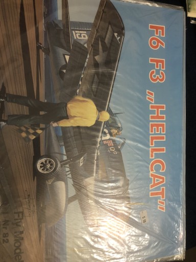 Zdjęcie oferty: F6 F3 Helicat fly model