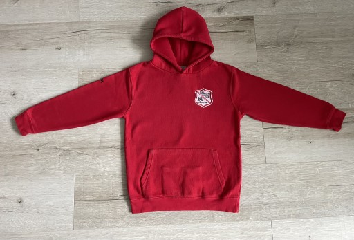 Zdjęcie oferty: Bluza chłopięca 123/140. 2 szt