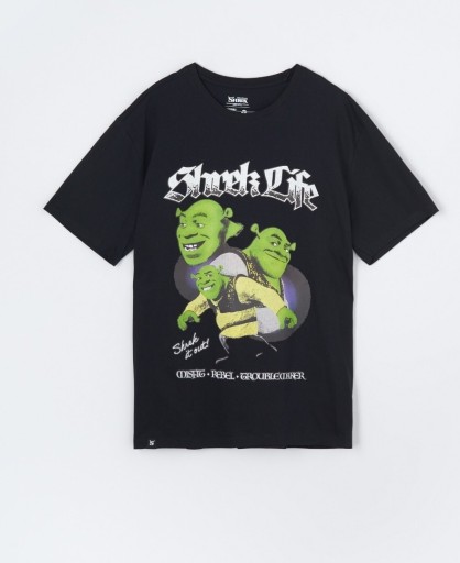 Zdjęcie oferty: Koszulka męska T shirt Shrek M