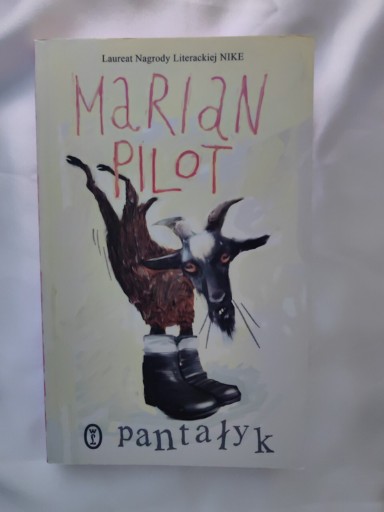 Zdjęcie oferty: Książka Pantałyk Marian Pilot