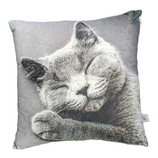 Zdjęcie oferty: Poduszka dekoracyjna 38x38 kot kotek urodziny 