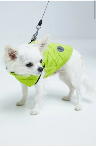 Zdjęcie oferty: Ubranko dla psa XL Stylowy pies