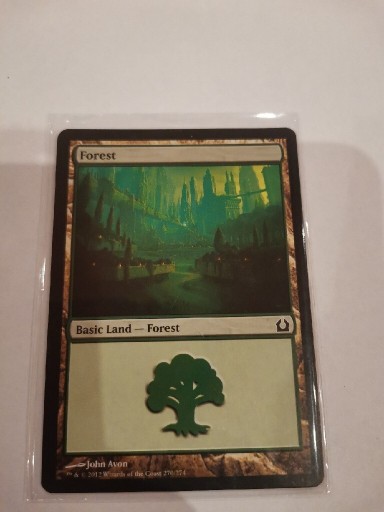 Zdjęcie oferty: FOREST Basic Land