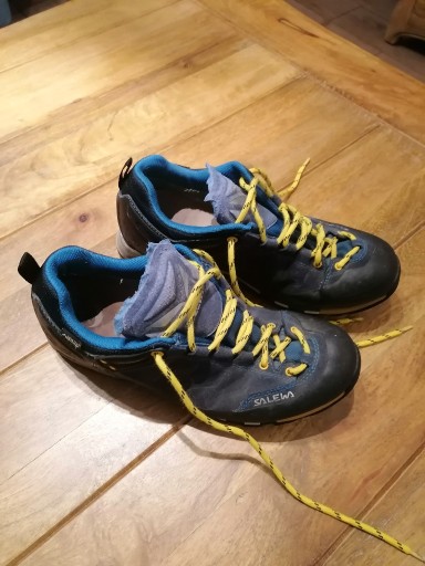 Zdjęcie oferty: Buty Salewa GTX 40.5 (260 mm)