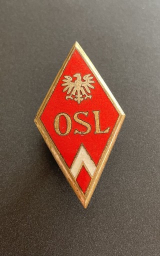 Zdjęcie oferty: Odznaka absolwenta OSL LWP