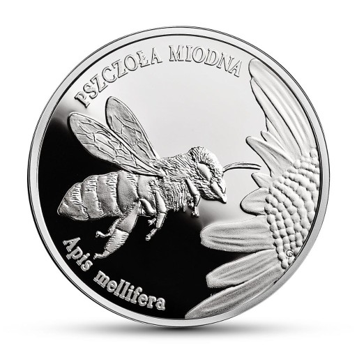 Zdjęcie oferty: 20 zł moneta pszczoła miodna UNC