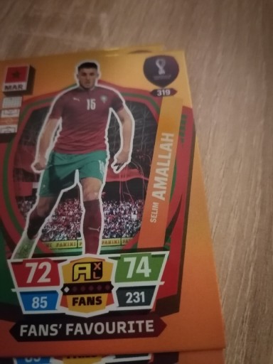 Zdjęcie oferty: Word cup qatar 2022 fan s favorite A Allah 319