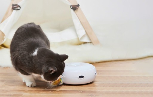 Zdjęcie oferty: Interaktywna zabawka dla kota 
