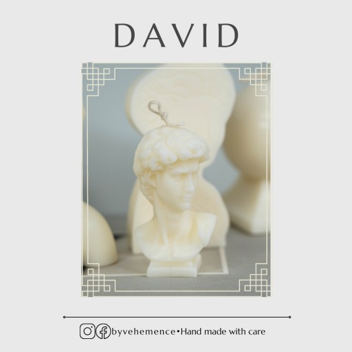 Zdjęcie oferty: Świeca sojowa popiersie mężczyzny - "DAVID"