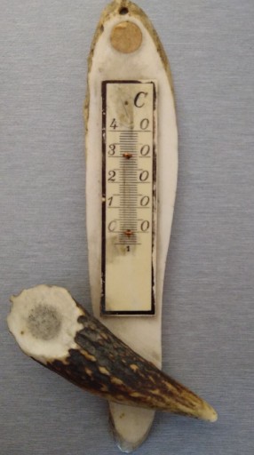 Zdjęcie oferty: Termometr z poroża. 