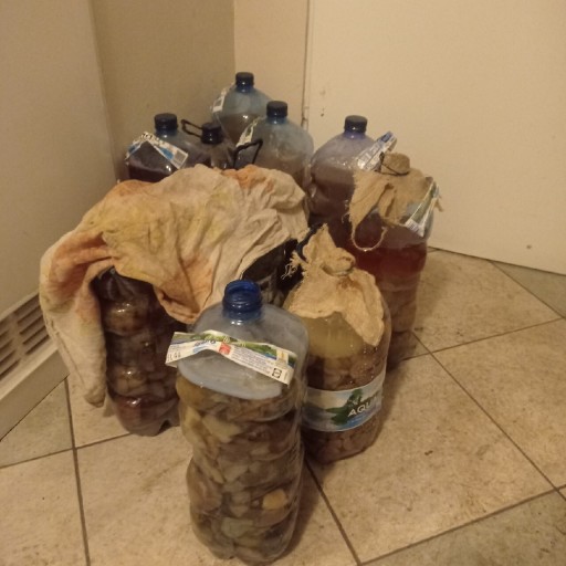 Zdjęcie oferty: Ocet jablko, winogrono, butelka ok. 4,5L