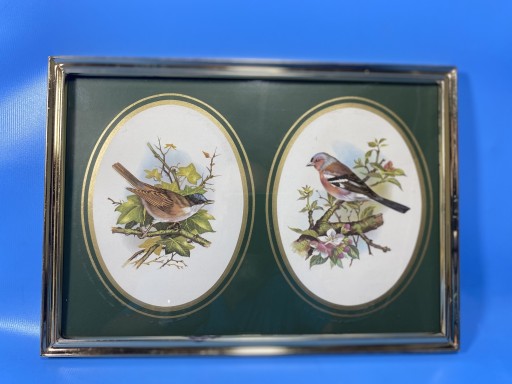 Zdjęcie oferty: Ptaki oprawione w metalowa ramkę 