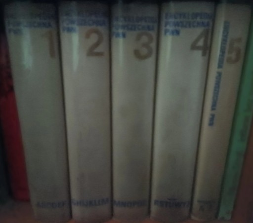 Zdjęcie oferty: Encyklopedia PWN 1973 5 tomów. Rok wydania 1973.