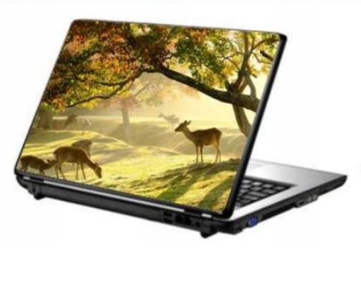 Zdjęcie oferty: laptop | HP Chromebook 14 G3|zasilacz|9h!!!|skin78