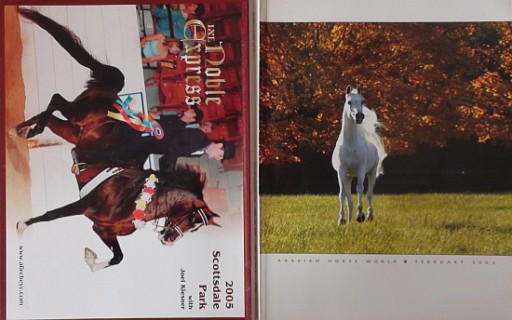 Zdjęcie oferty: ARABIAN HORSE WORLD nr 2/2005; Jaworowski, Paryż