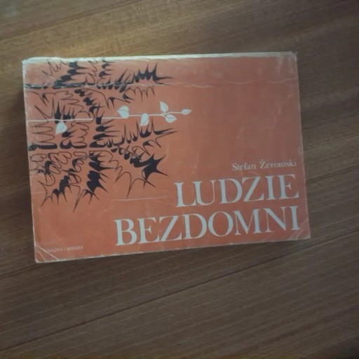 Zdjęcie oferty: "Ludzie bezdomni"