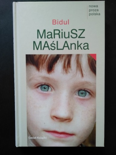 Zdjęcie oferty: Bidul - Mariusz Maślanka