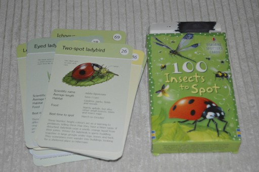 Zdjęcie oferty: Usborne  Spotter's Cards - 100 insects to spot 